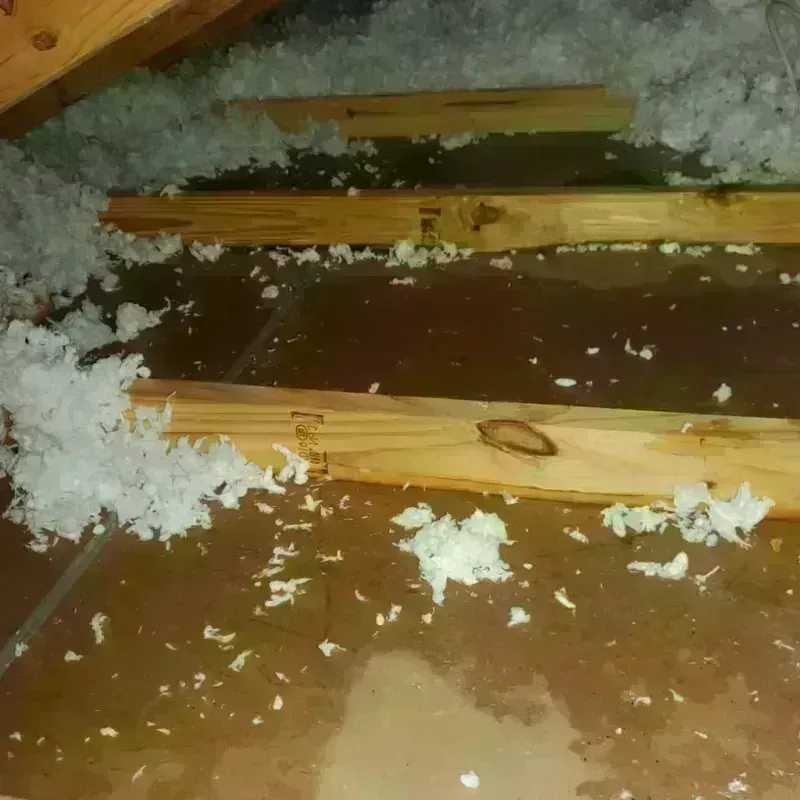 Attic Water Damage in Saint George, ME