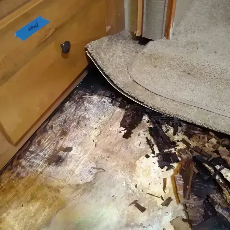 Best Wood Floor Water Damage Service in Saint George, ME